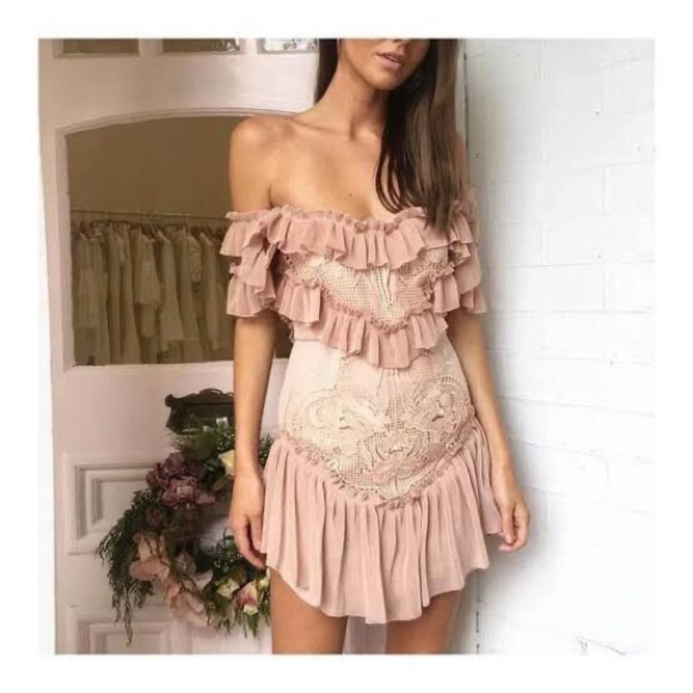 ❌SOLD❌ALICE MCCALL LOVEBIRDS DRESS ROSE PINK SIZE 6 - Picture 12 of 17
